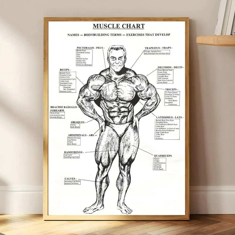 Poster  Bodybuilding ArnoldSchwarzenegger